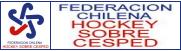 www.chilehockey.org